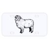 Personalized 3 X 6 Heavy Duty Acrylic / Plastic License Plate Personalized 3 X 6 Heavy Duty Acrylic / Plastic License Plate Thumbnail