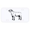 Personalized 3 X 6 Heavy Duty Acrylic / Plastic License Plate Thumbnail