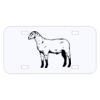 Personalized 3 X 6 Heavy Duty Acrylic / Plastic License Plate Thumbnail