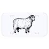 Personalized 3 X 6 Heavy Duty Acrylic / Plastic License Plate Thumbnail