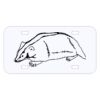 Personalized 3 X 6 Heavy Duty Acrylic / Plastic License Plate Thumbnail
