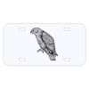 Personalized 3 X 6 Heavy Duty Acrylic / Plastic License Plate Thumbnail