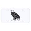 Personalized 3 X 6 Heavy Duty Acrylic / Plastic License Plate Thumbnail