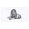 Personalized 3 X 6 Heavy Duty Acrylic / Plastic License Plate Thumbnail