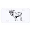 Personalized 3 X 6 Heavy Duty Acrylic / Plastic License Plate Thumbnail