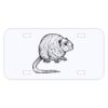 Personalized 3 X 6 Heavy Duty Acrylic / Plastic License Plate Thumbnail