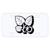 Personalized 3 X 6 Heavy Duty Acrylic / Plastic License Plate Thumbnail
