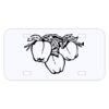 Personalized 3 X 6 Heavy Duty Acrylic / Plastic License Plate Thumbnail