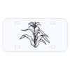 Personalized 3 X 6 Heavy Duty Acrylic / Plastic License Plate Thumbnail