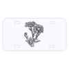 Personalized 3 X 6 Heavy Duty Acrylic / Plastic License Plate Thumbnail