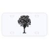 Personalized 3 X 6 Heavy Duty Acrylic / Plastic License Plate Thumbnail