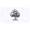Personalized 3 X 6 Heavy Duty Acrylic / Plastic License Plate Thumbnail