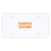 Personalized 3 X 6 Heavy Duty Acrylic / Plastic License Plate Thumbnail