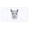 Personalized 3 X 6 Heavy Duty Acrylic / Plastic License Plate Thumbnail