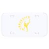 Personalized 3 X 6 Heavy Duty Acrylic / Plastic License Plate Thumbnail