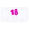 Personalized 3 X 6 Heavy Duty Acrylic / Plastic License Plate Thumbnail