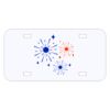 Personalized 3 X 6 Heavy Duty Acrylic / Plastic License Plate Thumbnail