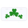 Personalized 3 X 6 Heavy Duty Acrylic / Plastic License Plate Thumbnail