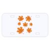 Personalized 3 X 6 Heavy Duty Acrylic / Plastic License Plate Thumbnail