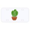 Personalized 3 X 6 Heavy Duty Acrylic / Plastic License Plate Thumbnail