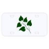 Personalized 3 X 6 Heavy Duty Acrylic / Plastic License Plate Thumbnail