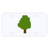 Personalized 3 X 6 Heavy Duty Acrylic / Plastic License Plate Thumbnail