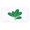 Personalized 3 X 6 Heavy Duty Acrylic / Plastic License Plate Thumbnail