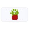 Personalized 3 X 6 Heavy Duty Acrylic / Plastic License Plate Thumbnail