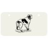 3 X 6 Aluminum License Plate Thumbnail