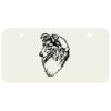 3 X 6 Aluminum License Plate Thumbnail