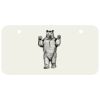 3 X 6 Aluminum License Plate Thumbnail