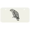 3 X 6 Aluminum License Plate Thumbnail