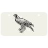 3 X 6 Aluminum License Plate Thumbnail