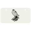 3 X 6 Aluminum License Plate Thumbnail