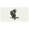 3 X 6 Aluminum License Plate Thumbnail