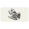 3 X 6 Aluminum License Plate Thumbnail