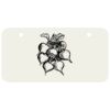 3 X 6 Aluminum License Plate Thumbnail