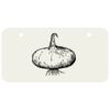 3 X 6 Aluminum License Plate Thumbnail