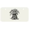 3 X 6 Aluminum License Plate Thumbnail