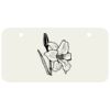 3 X 6 Aluminum License Plate Thumbnail
