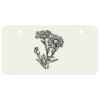 3 X 6 Aluminum License Plate Thumbnail