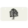 3 X 6 Aluminum License Plate Thumbnail