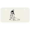 3 X 6 Aluminum License Plate Thumbnail