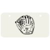 3 X 6 Aluminum License Plate Thumbnail