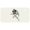 3 X 6 Aluminum License Plate Thumbnail