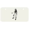 3 X 6 Aluminum License Plate Thumbnail