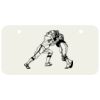 3 X 6 Aluminum License Plate Thumbnail