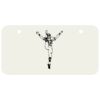 3 X 6 Aluminum License Plate Thumbnail