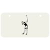 3 X 6 Aluminum License Plate Thumbnail