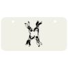 3 X 6 Aluminum License Plate Thumbnail